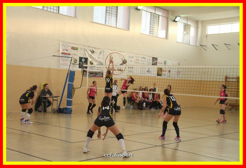 180224 picture 105.jpg